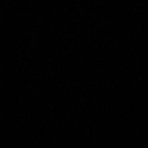 Meet your Posher, Charlie